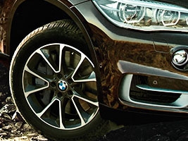  ,  ,  .  BMW X5 xDrive25d.