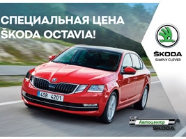     SKODA OCTAVIA! 