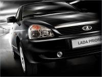   2013     LADA      29%