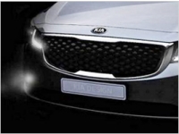 KIA      Carnival  