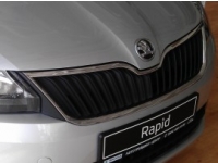     SKODA Rapid  -! 