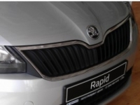     SKODA Rapid   31.05.2014