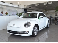   Volkswagen Beetle - Summer Life