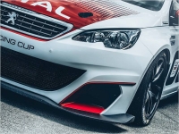 PEUGEOT 308 RACING CUP:    