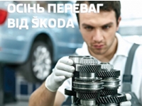   -        SKODA.