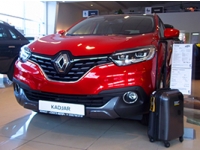     - Renault Kadjar!