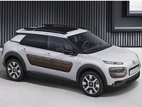   e: C4 CACTUS    0%   3 *!