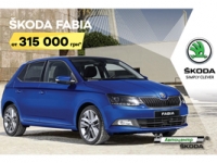   SKODA FABIA  315 000 