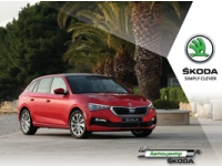 SKODA  620 900  볺    2019